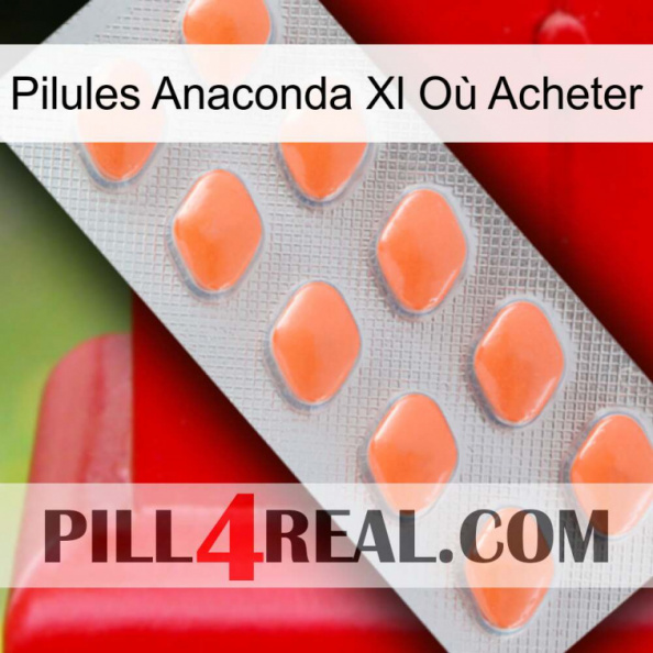 Pilules Anaconda Xl Où Acheter 26